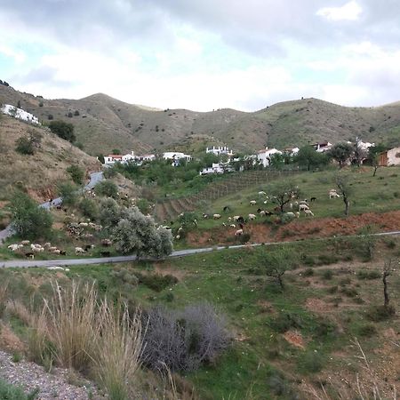 Casita Tomate Lägenhet Granada Exteriör bild